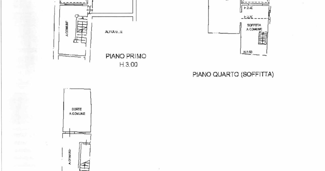 Plan.-tagliata