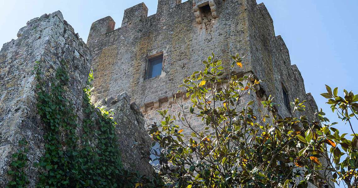 castello di villa web (52)